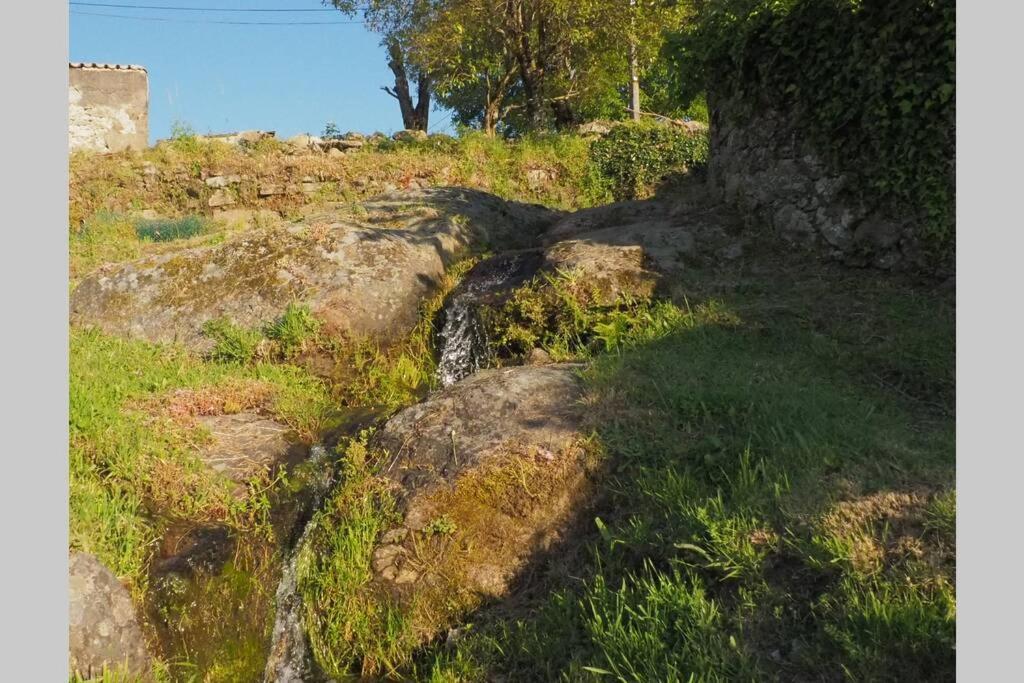 El Bosque De Los Romanos Daire Puerto de Béjar Dış mekan fotoğraf